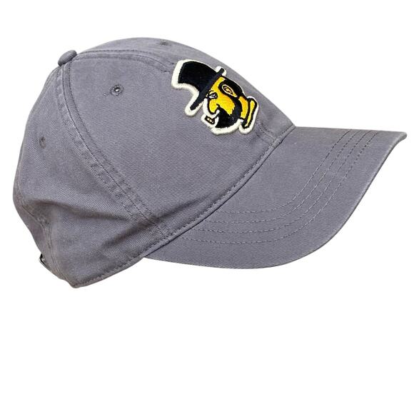 Gray Appalachian State Men's Hat - Picture 2 of 6